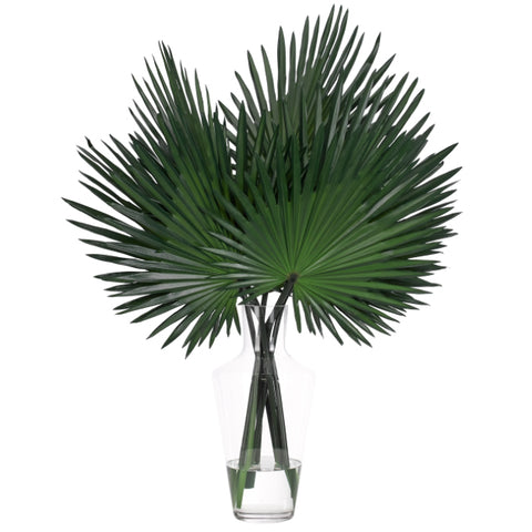 Fan Palm in Glass Vase with Faux Water