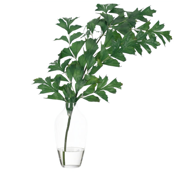 Fishtail Palm in Glass Vase with Faux Water CF Interiors