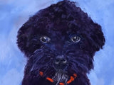 Commission Pet portrait